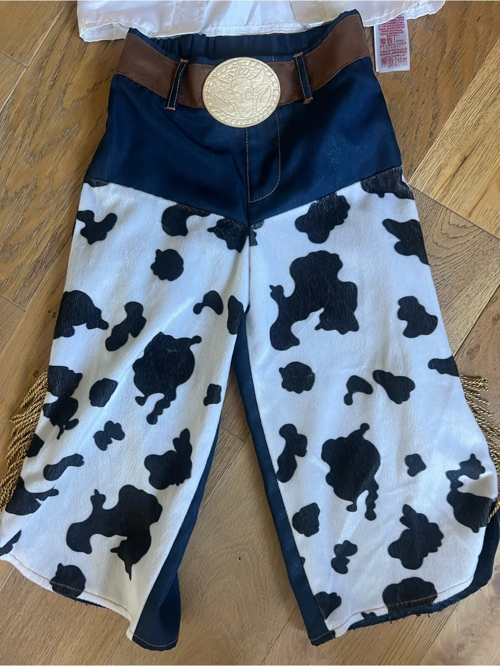 Disney Toy Story Jessie’s costume with hat